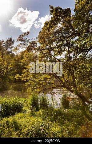 Giardino botanico, vicino al Parco del Castello di Nymphenburg, 2024 110° anniversario, Monaco, Baviera Foto Stock