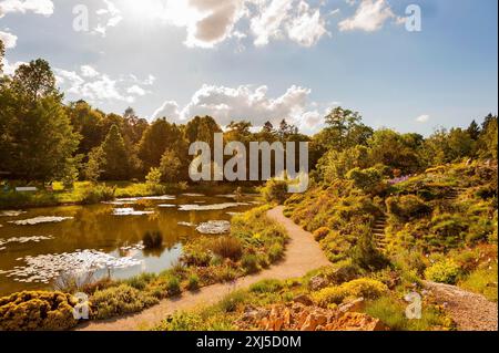 Giardino botanico, accanto al Parco del Castello di Nymphenburg, 110° anniversario nel 2024, Giardino Alpino sullo Schachen con laghetto sulla destra, Monaco, Baviera Foto Stock