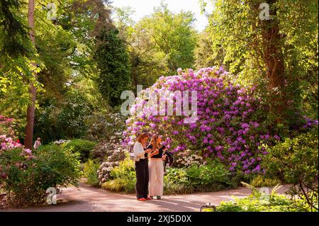 Giardino botanico, accanto al Parco del Castello di Nymphenburg, 2024 110° anniversario, visitatori di fronte ai rododendri, Monaco, Baviera Foto Stock