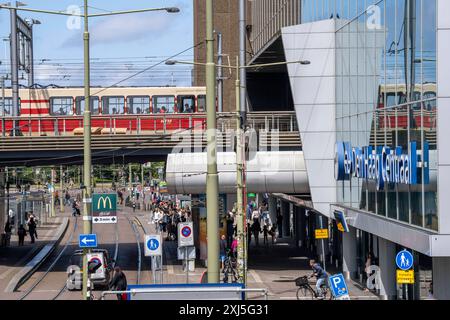 ÖPNV Anbindung des Hauptbahnhofs von Den Haag, stazione centrale, Rijnstraat, Innenstadt, Straßenbahnlinien, NIEDERLANDE, Den Haag Centraal *** collegamenti con i mezzi pubblici alla stazione centrale dell'Aia, alla stazione centrale, a Rijnstraat, al centro città, alle linee dei tram, paesi Bassi, l'Aia Centraal Foto Stock