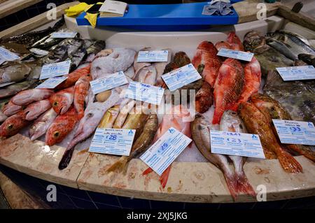 Bancone del pesce, pesce fresco, esposizione di pesce fresco, gurnard, rana, orata, branzino, ray, Market Hall, Mercado Municipal de Lagos, Lagos, Algarve Foto Stock