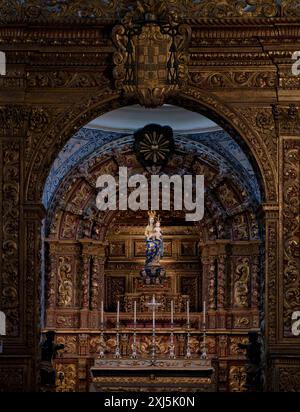 Azulejos, piastrelle, decorazioni in piastrelle, Capela de Nossa Senhora do Rosario, Cappella di nostra Signora del Rosario, Athedrale Igreja da se Catedral de Faro Foto Stock