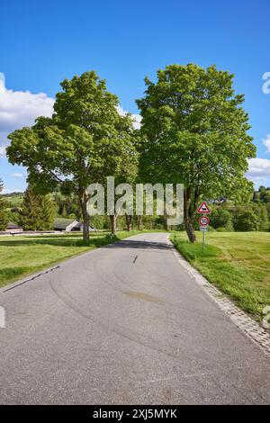 Viale dell'acero sicomoro (Acer pseudoplatanus) sotto un cielo blu con nuvole di cumulus a Bernau im Black Forest, Foresta Nera, distretto di Waldshut Foto Stock
