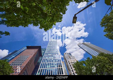 Grattacielo Japan Centre, Taunus Tower, una lanterna e un castagno sotto il cielo blu con piccole nuvole di cumulus dalla prospettiva delle rane a Francoforte Foto Stock