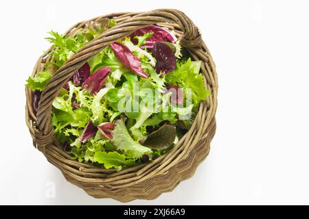 Cestino di mesclun Foto Stock