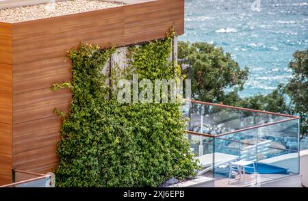 Una scena invitante che raffigura una pittoresca terrazza mediterranea, caratterizzata da lussureggiante edera verde su moderni pannelli di legno con uno splendido sfondo marino. Ideale Foto Stock