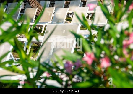 Un'immagine vibrante e invitante di lettini bianchi disposti ordinatamente in un lussureggiante ambiente tropicale. Il primo piano presenta foglie verdi sfocate e fiori rosa Foto Stock