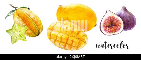 Illustrazione della frutta tropicale acquerello con mango, Starfruit e Fig, vibrante e fresca Foto Stock