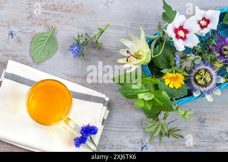 Infusione mista di fiori e erbe aromatiche Foto Stock