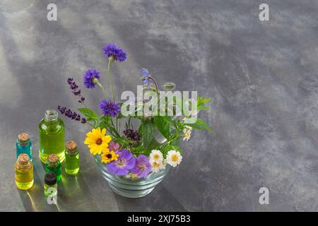 Fiori e piante medicinali in Malta di vetro e piccole bottiglie di oli essenziali Foto Stock