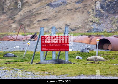 Abandoned Whaling Station, Stromness, Georgia del Sud, mercoledì, 29 novembre, 2023. foto: David Rowland / One-Image.com Foto Stock