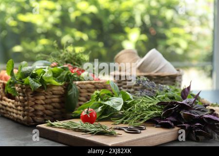 Diverse erbe aromatiche, verdure e forbici su tavola grigia, primo piano Foto Stock