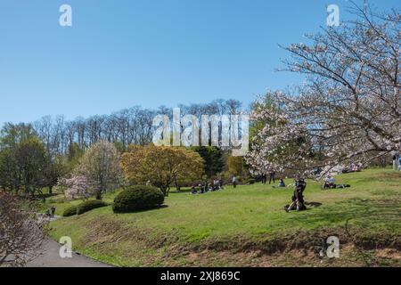 La gente del posto e i turisti si godono la stagione della fioritura dei ciliegi ai Giardini Botanici Temiya Ryokuka, Otaru, Giappone Foto Stock