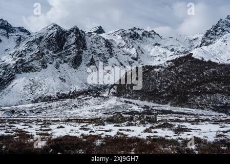 Vette aspre, valle invernale ad alta quota sul trekking Langtang a Kyanjin Gompa, Himalaya, Nepal, Asia Copyright: CasparxSchlageter 1372-522 Foto Stock