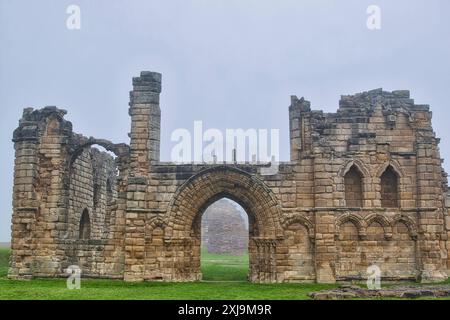 Una scena nebbiosa di antiche rovine in pietra con porte e finestre ad arco, circondate da erba verde, Regno Unito, Europa Copyright: VasilexJechiu 1385 Foto Stock