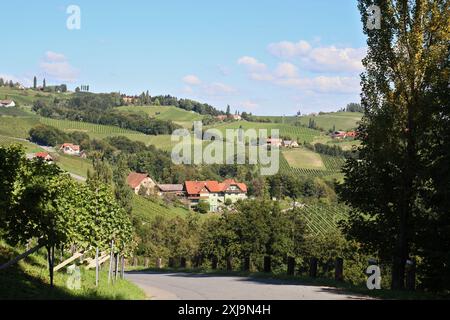 Vigneti nel sud della Stiria vicino a gamlitz in autunno Foto Stock