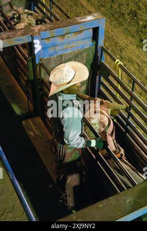 Un rodeo cowboy toro rider si prepara a salire sul toro ribelle per il suo giro in un rodeo nello Utah. Foto Stock