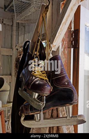 Negozio di antiquariato e arredamento Barnhouse, Peregrine Farm Store, Grabouw, Provincia Occidentale, Sud Africa. Foto Stock