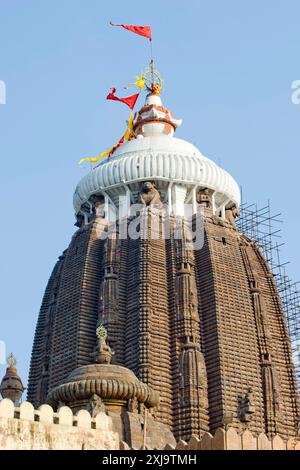 La torre principale del Tempio di Jagannath del XII secolo, dedicata a Lord Jagannath, un'incarnazione di Krishna, situata a Puri, la più antica dell'India Foto Stock