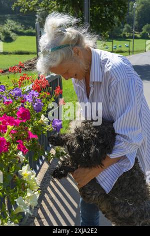 Europa, Lussemburgo, Septfontaines, una donna anziana attraente che cammina verso la campagna con il suo cane d'acqua portoghese Foto Stock