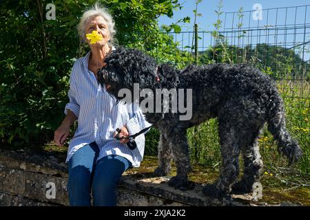 Europa, Lussemburgo, Septfontaines, bella donna anziana che gioca con il suo cane acquatico portoghese Foto Stock