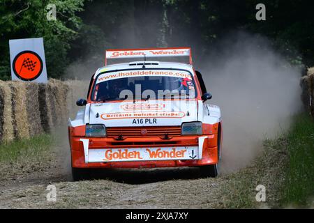 Martin Overington, MG Metro 6R4, Legends of Group B, una selezione di auto iconiche che dimostrano gli estremi estremi dello sviluppo dei veicoli per World Foto Stock