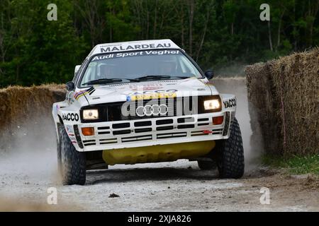 Hans Stacey, Audi quattro Dakar Coupé, Legends of Group B, una selezione di auto iconiche che dimostrano gli estremi estremi dello sviluppo dei veicoli Foto Stock