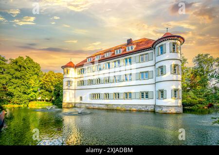 Castello di Bad Rappenau, Germania Foto Stock