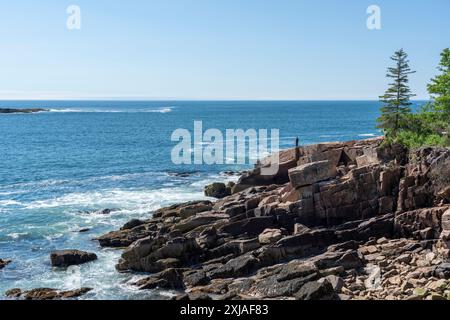 Costa rocciosa dell'Acadia National Park, Maine Foto Stock