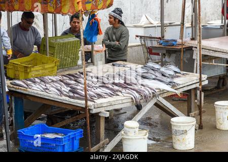 Coquimbo, Cile - 15 marzo 2019: Pesce fresco in mostra in un mercato del pesce locale. Foto Stock