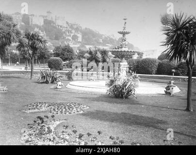 Palme e fontana, Princess Gardens. Torquay, Devon. Questa fotografia proviene da un originale edoardiano, intorno al 1910. L'originale faceva parte di un album di 150 fotografie di albume, di qualità variabile, molte delle quali ho fotografato. La collezione includeva immagini provenienti in particolare dall'Isola di Man e dalla contea inglese, Devonshire. Le annotazioni sono state incluse nell'album ma, sfortunatamente, non c'erano date specifiche. Le foto originali erano in media 6 x 4 ½ pollici. Foto Stock