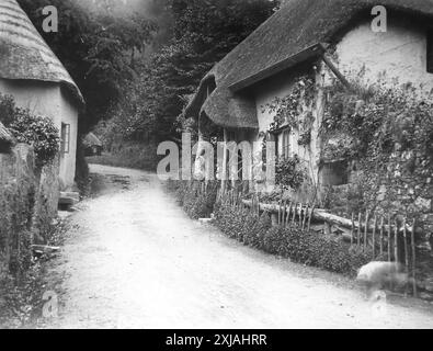 Una strada e un cottage con tetto di paglia a Cockington, Devon. Questa fotografia proviene da un originale edoardiano, intorno al 1910. L'originale faceva parte di un album di 150 fotografie di albume, di qualità variabile, molte delle quali ho fotografato. La collezione includeva immagini provenienti in particolare dall'Isola di Man e dalla contea inglese, Devonshire. Le annotazioni sono state incluse nell'album ma, sfortunatamente, non c'erano date specifiche. Le foto originali erano in media 6 x 4 ½ pollici. Foto Stock