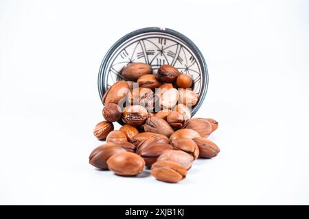 Argan Nuts marocchino Foto Stock