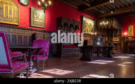 Interno della Galleria nel Kasteel van Gaasbeek, castello medievale ma ristrutturato nel XIX secolo, Lennik, Brabante fiammingo, Belgio Foto Stock