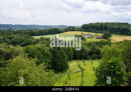 Ausblick von der Terasse der Mensa der Ruhr-Universität Bochum ins Grüne. Die Ruhr-Universität Bochum wurde von 1962-1965 erbaut. Der Studienbetrieb f Foto Stock