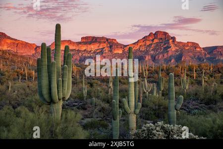 Superstition Wilderness area, Arizona Foto Stock