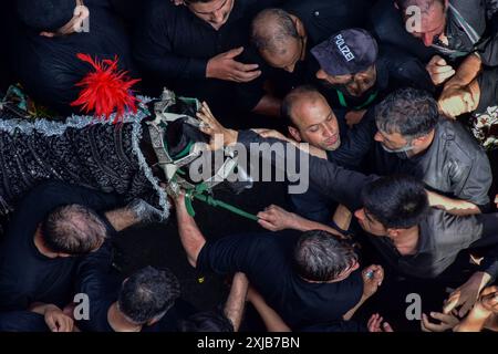 Srinagar, India. 17 luglio 2024. I musulmani sciiti kashmiri eseguono rituali durante una processione religiosa per celebrare Ashura il decimo giorno di Muharram, a Srinagar. Ashura è il decimo giorno di Muharram, il primo mese del calendario islamico, che viene osservato in tutto il mondo in ricordo del martirio dell'Imam Hussain, nipote del profeta Maometto (PBUH). Credito: SOPA Images Limited/Alamy Live News Foto Stock