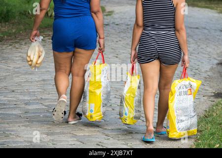 Due donne se ne vanno con l'acquisto di cibo in sacchetti di plastica dal supermercato, Vista posteriore Foto Stock