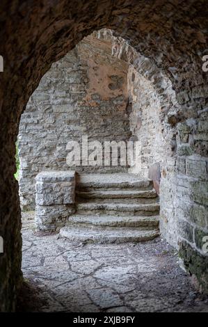 Passaggio ad arco del monastero in rovina che conduce ai gradini. Rovinato convento di Santa Brigitta a Pirita. Tallinn, Estonia. Foto Stock