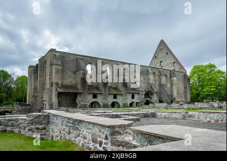 Antico convento di Santa Brigitta in rovina ( 1436 anni) nella regione di Pirita, Tallinn, Estonia. Foto Stock