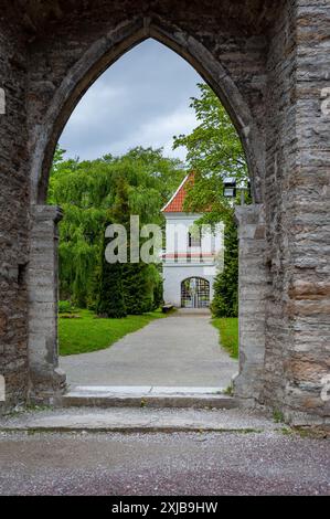 Vista dell'ingresso alle rovine attraverso l'arco della chiesa principale. Monastero di Santa Brigitta a Pirita, Tallinn, Estonia. Foto Stock