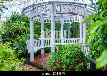 Un padiglione o gazebo in un giardino botanico. Serra tropicale a Tallinn, Estonia. Foto Stock