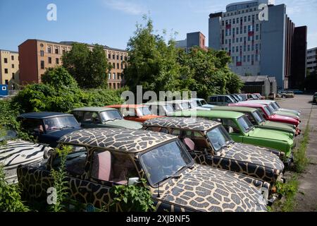 Le Trabant sono prodotte tra il 1957 e il 1991 dalla VEB Sachsenring Automobilwerke Zwickau, azienda produttrice di automobili della Germania Est, utilizzata per viaggi turistici a Berlino. Foto Stock