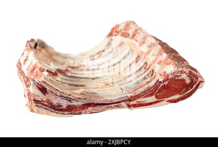 Carcasse di mucche appese ai ganci Foto Stock