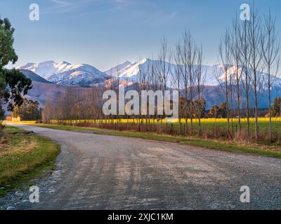Strada di ghiaia curva in un ambiente rurale caratterizzato da montagne innevate Foto Stock