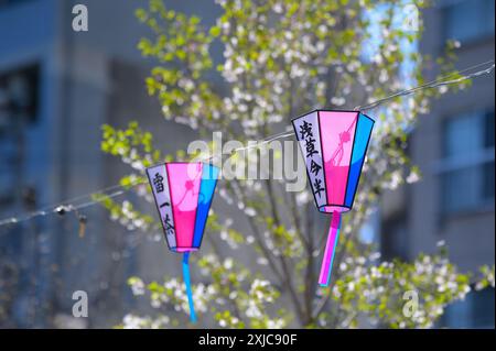Sumida Park durante la bella stagione dei fiori di ciliegio, Tokyo Asakusa JP Foto Stock