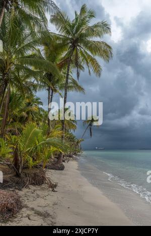 Vista panoramica della spiaggia di Boca del Drago, Bocas del Toro, Panama Foto Stock