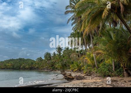 Vista panoramica della spiaggia di Boca del Drago, Bocas del Toro, Panama Foto Stock