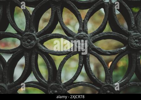 Un primo piano di una recinzione in metallo nero con un design floreale a Yu Garden, Shanghai, Cina. La recinzione è progettata in modo complesso con diverse aperture circolari Foto Stock