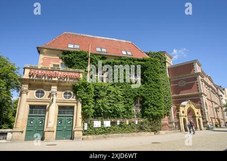 Stadtbibliothek, Carl-Schurz-Straße, Altstadt, Spandau, Berlino, Deutschland Foto Stock